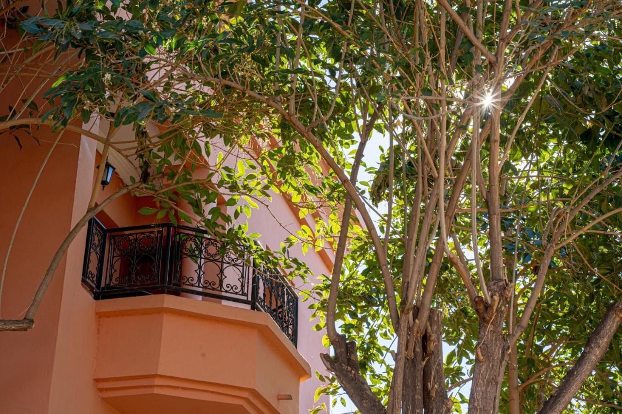 Las Palmeras Guest House Douar Caïd Layadi 외부 사진