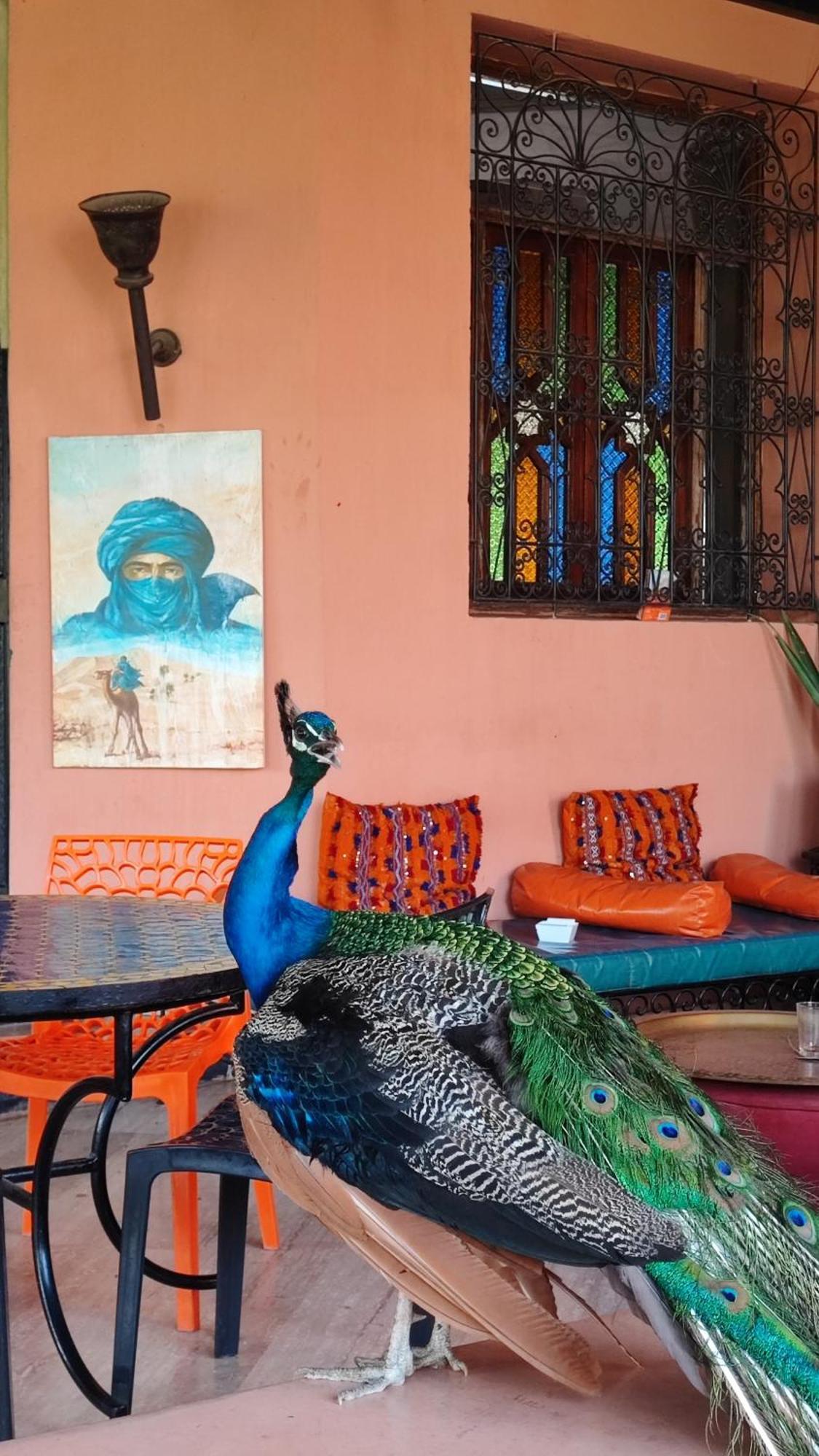 Las Palmeras Guest House Douar Caïd Layadi 외부 사진